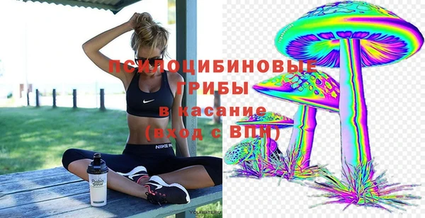 наркотики Богданович